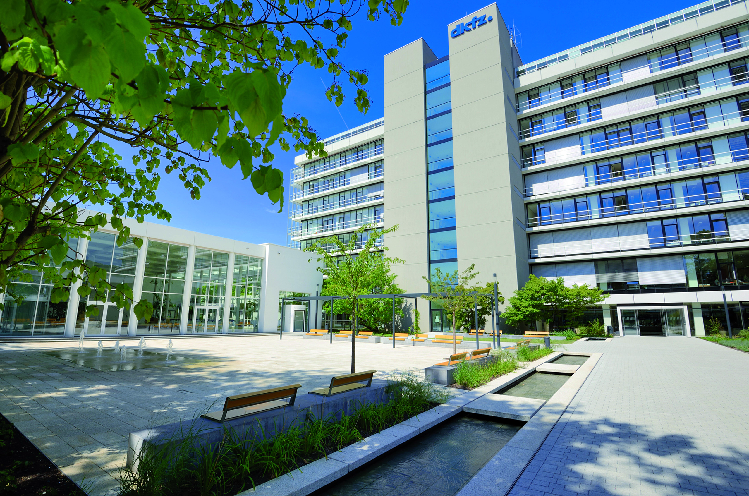 German Cancer Research Center (DKFZ)